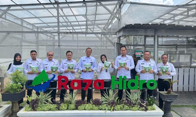 Dukung Penuh Ketahanan Pangan, Kakanwil Ditjenpas Lampung dan Kalapas Panen Anggur serta Pakcoy di Lapas Kelas I Bandar Lampung
